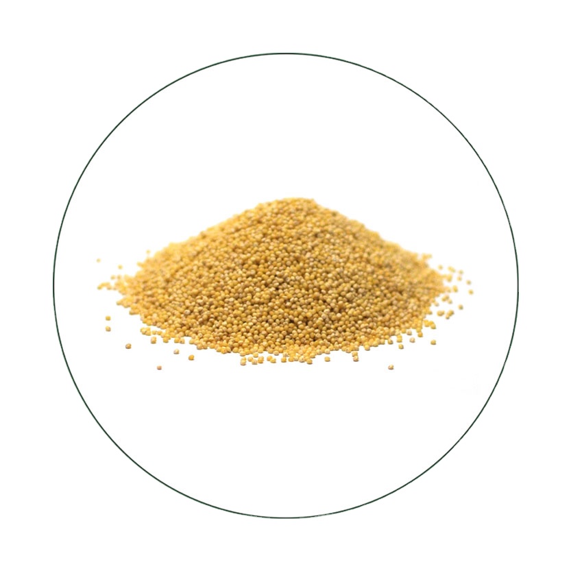 Hulled Millet Supplier India