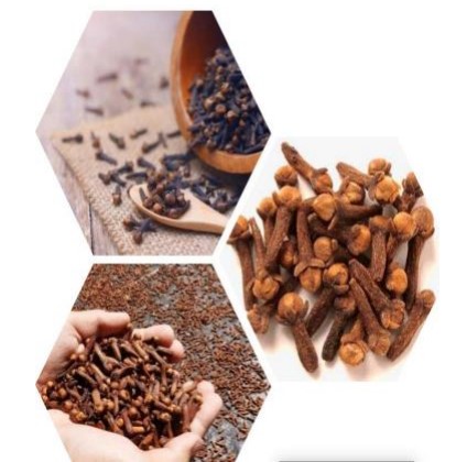 Best Quality Clove Dark Brown AB6 Origin Indonesia