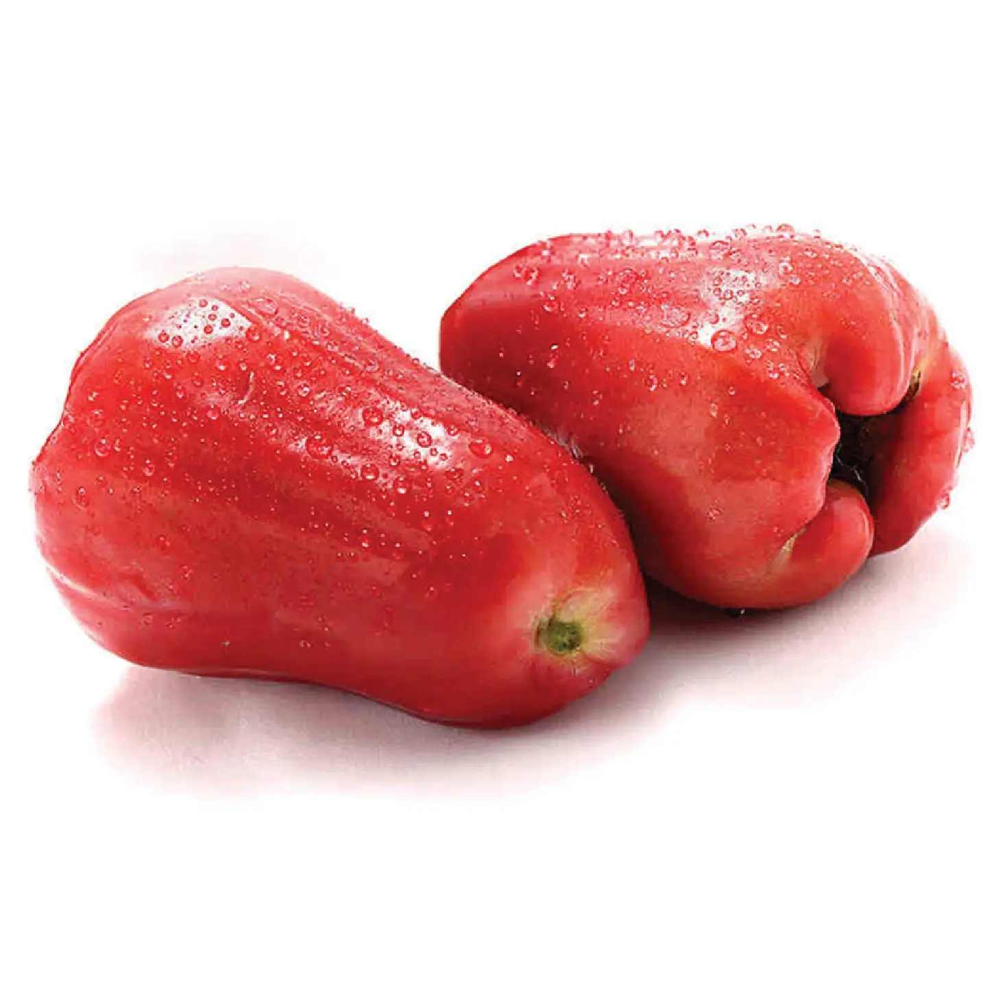 Best Price Fresh Bell Fruit from Vietnam 2020//Whatsapp/Telegram: +84 903 641 079