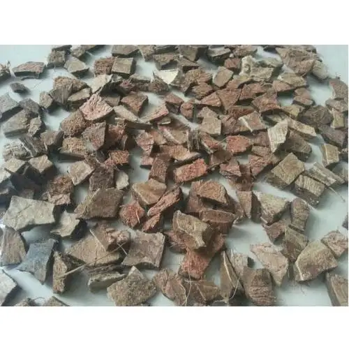 RAW COCONUT SHELLS FOR MAKING CHARCOAL CHEAP PRICE