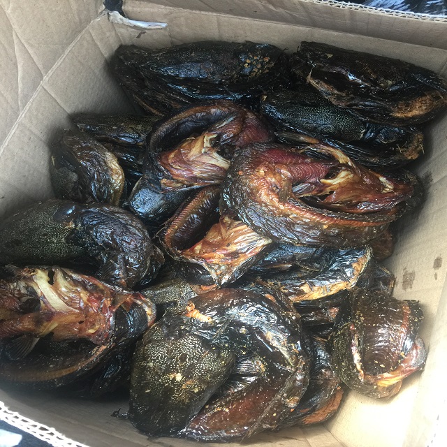 Сухой запас рыбы Копченый сома