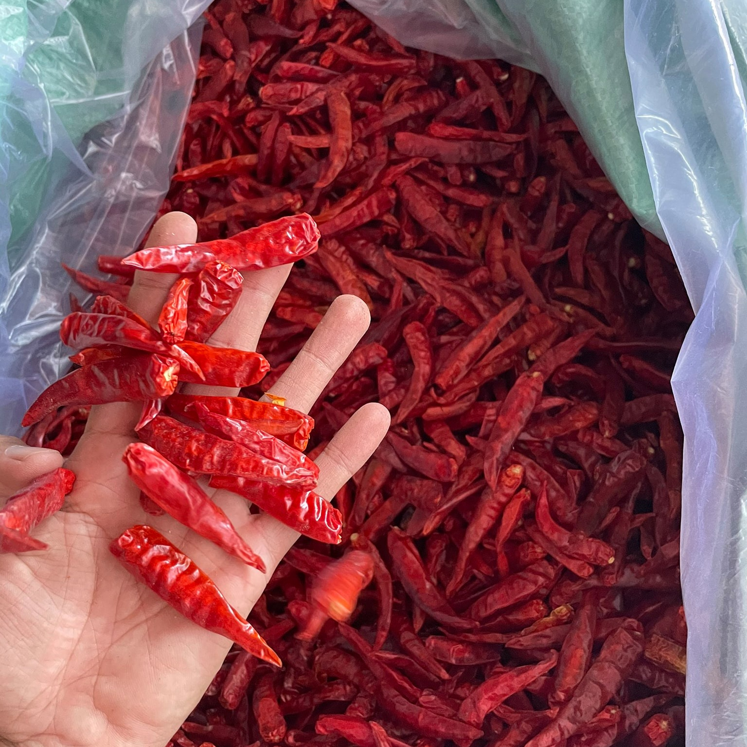 Red Hot Chili Pepper Dry Red Chillies