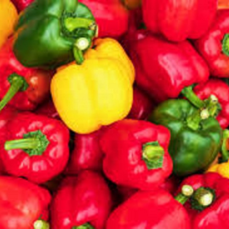 Fresh Capsicum Veges