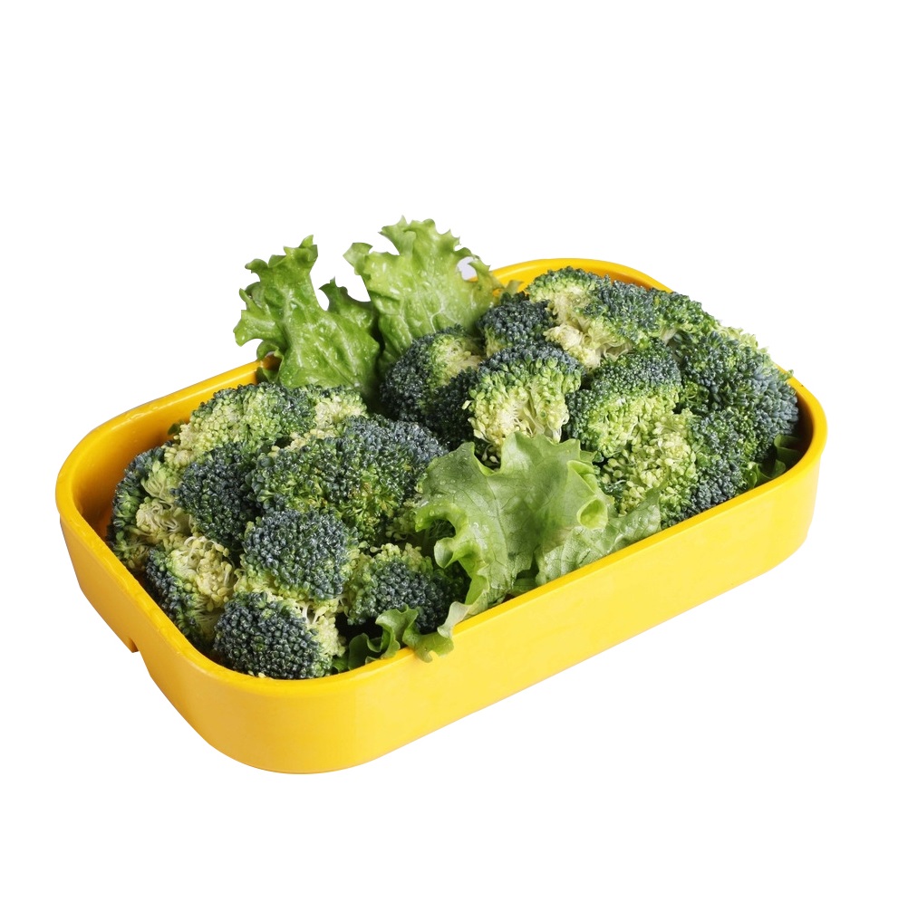 Denmark Broccoli fresh broccoli fresh broccoli fresh vegetables
