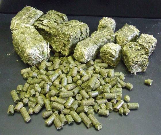 100% Pure Alfalfa Hay/lucerne Hay For Animal Feed,Alfalfa Hay For Sale
