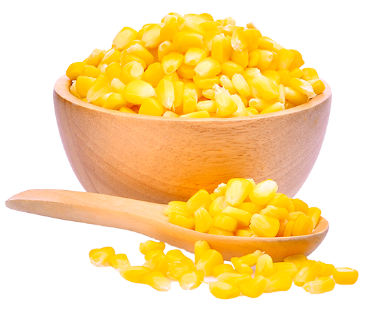 yellow corn