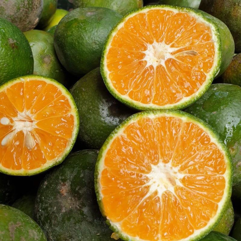 Orange fresh fruit Variety Weight
