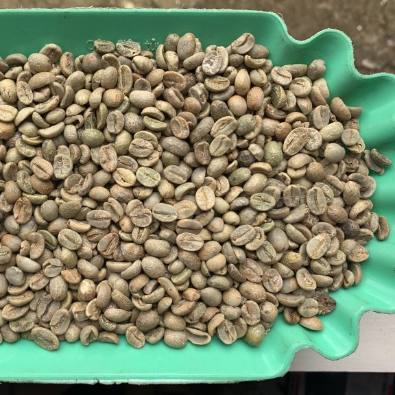Кофейные зерна Langbiang Arabica S18 Sceen, доступны оптом, натуральные крупные зеленые кофейные зерна