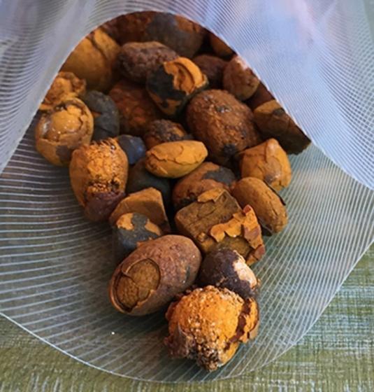 Новое поступление, желчные камни Ox, желчные камни для коровы, желчные камни для крупного рогатого скота, желчные камни безоar Bolus