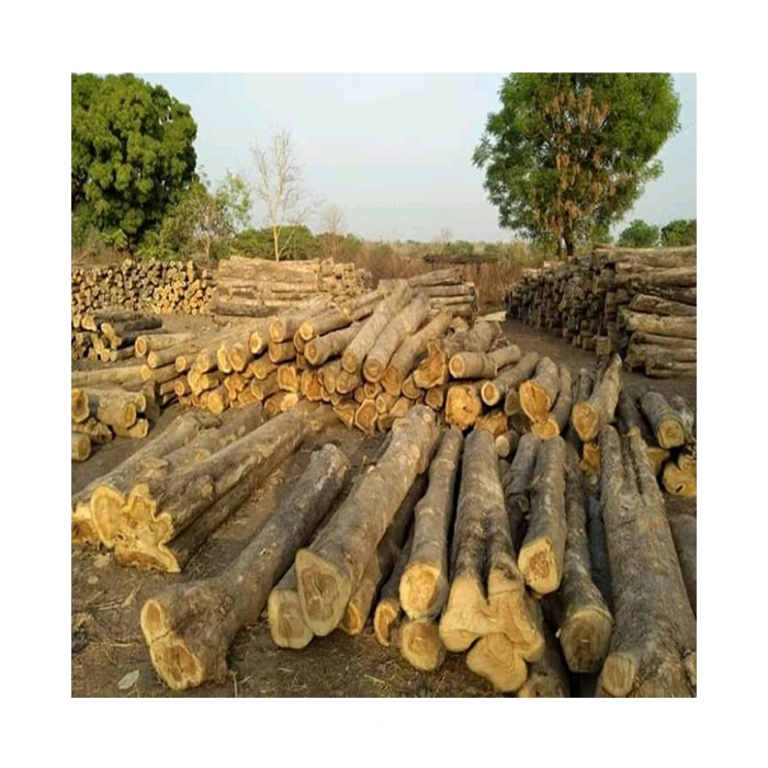 Organic Farms Sarl have available straight and with no cracks or peelings fresh cut azobe/ teak /okan /kosso wood