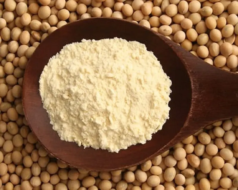High Quality Pure Organic Soybean Seeds / Black soybean seeds suppliers worldwide