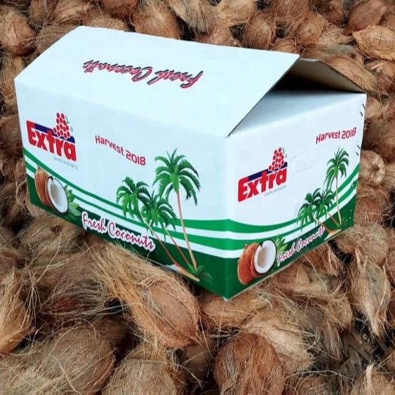PURE HIGH QUALITY INDIA COCONUT