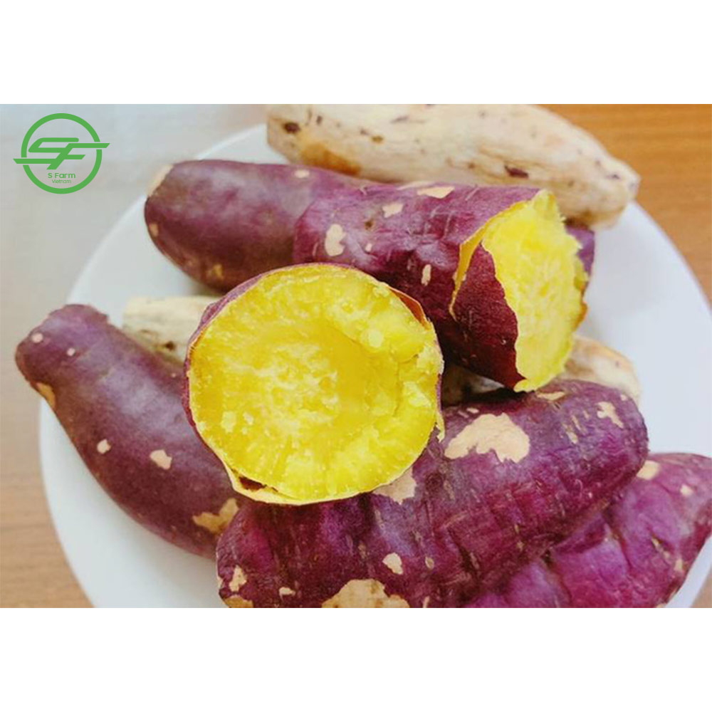 Yellow Sweet Potatoes with Best Price High Quality Sweet Potatoes (Whatsapp/zalo/wechat: +84 912 964 858)