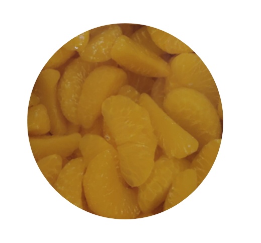 Canned Mandarin Orange Segments in Light Syrup