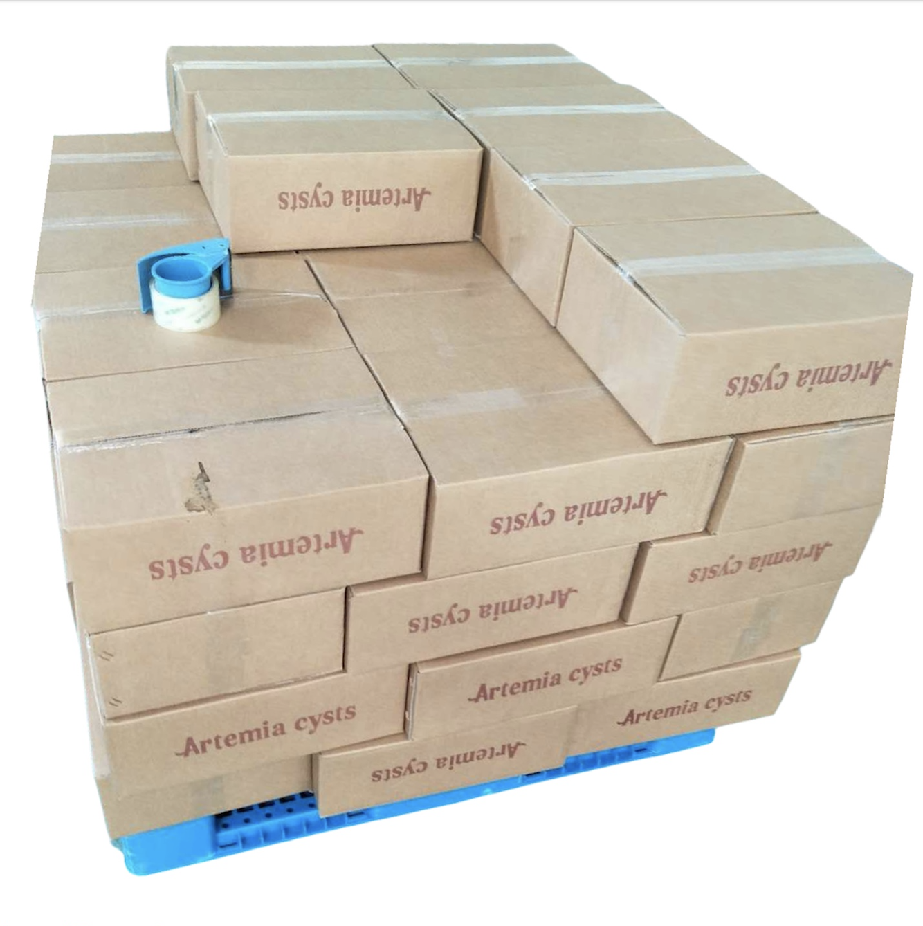 Инвент Артемия яйца cysts supreme plus