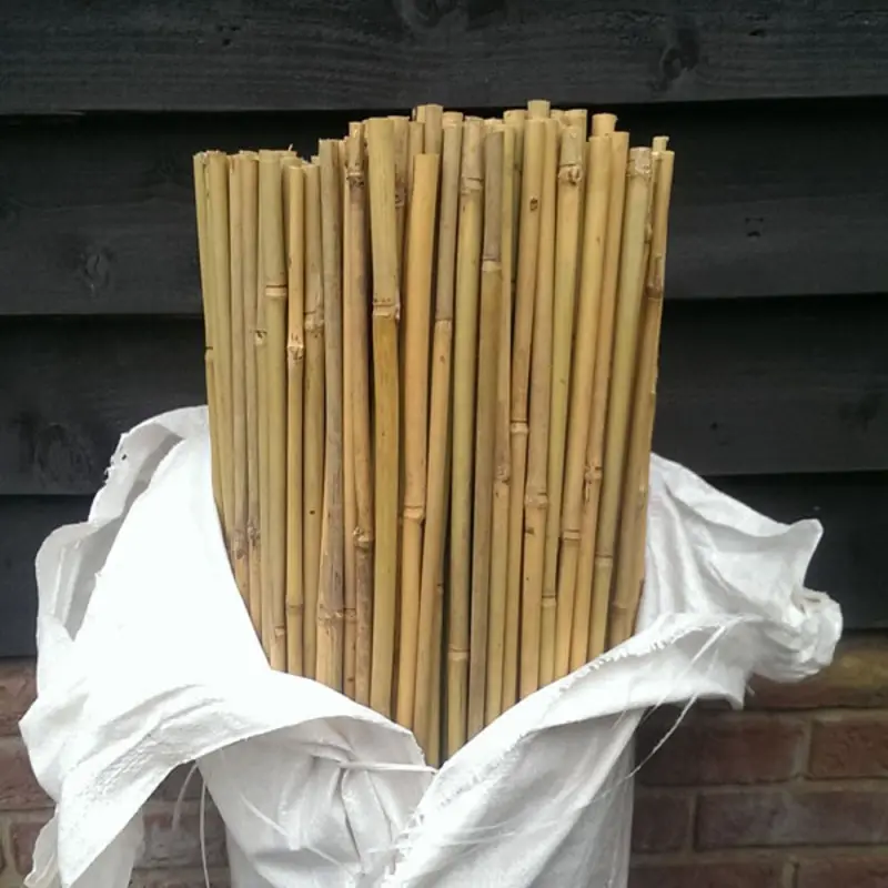 Natural Tonkin Bamboo Poles Bamboo Canes For Sale for Plant Garden support and Decoration Made in Vietnam / 0084 948 381 386