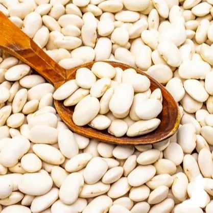Best Quality White Butter Beans At Low Cost Bulk Price