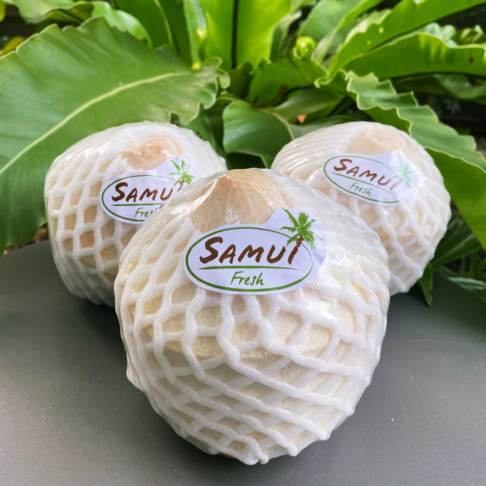 Молодой тайский кокос, свежий бренд SAMUI. Фруктовый продукт, осушенный кокос. Продукт Таиланда, сумасшедший в Таиланде.