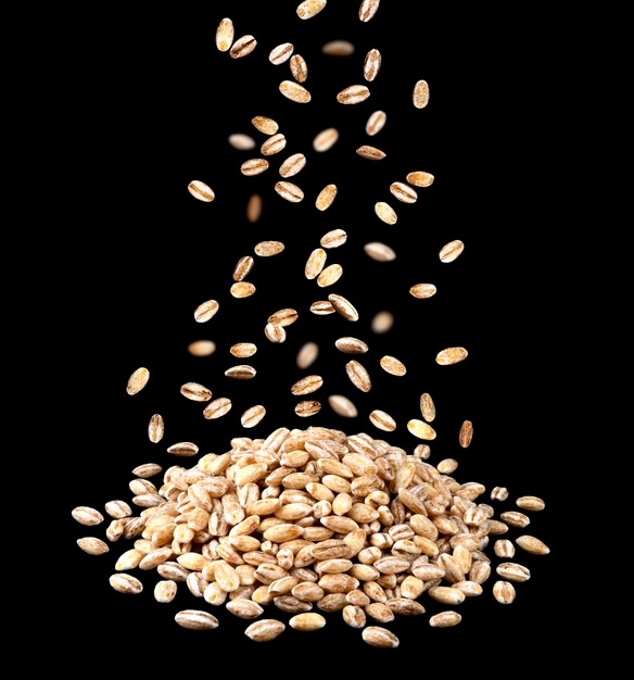 GOOD QUALITY PEARL GRAIN BARLEY FOR SALE