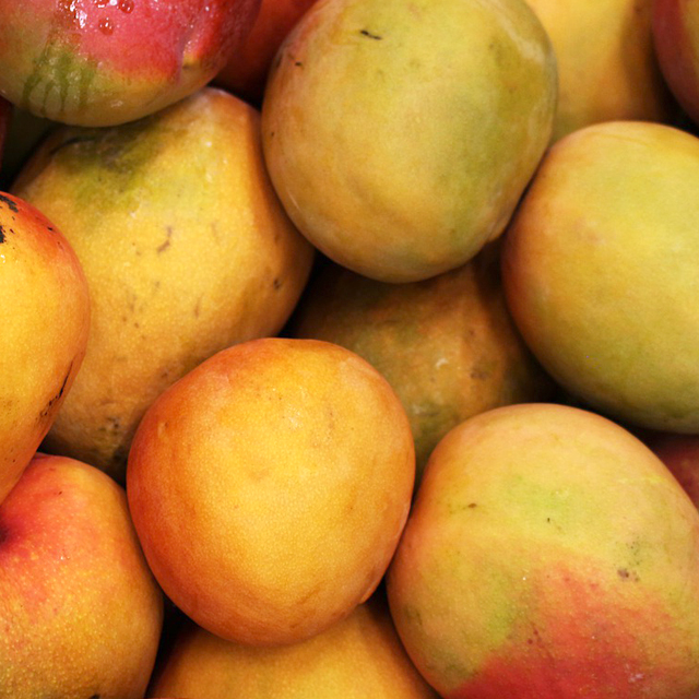 Mango