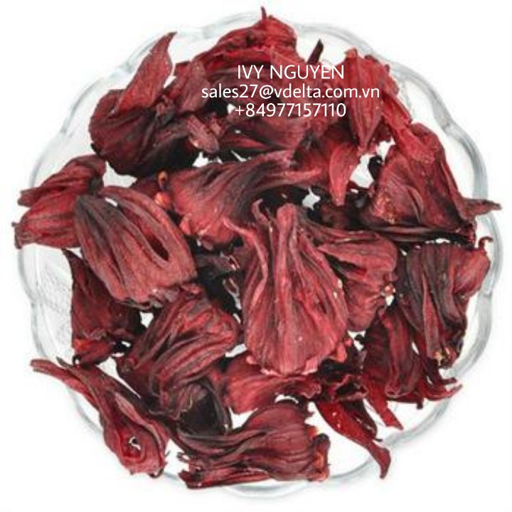 BEST PRICE HIBISCUS FLOWERS GOOD FOR HEALTH/ RED ARTICHOKE FLOWERS - Ivy + 84977157110