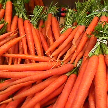 Свежая морковь, продукция от производителей по низким ценам