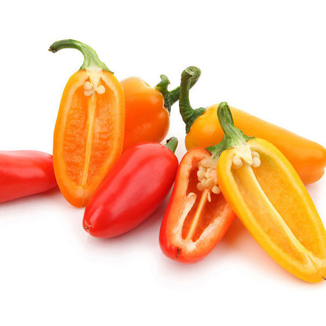 [Made in Korea] GAP KOREAN Snack Paprika Small Size Paprika Red Yellow Orange Chocolate Bell Pepper Juicy Taste Capsicums