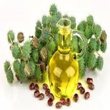 Renowed Seller of Exceptional Quality Castor Cold Press Carrier Oil