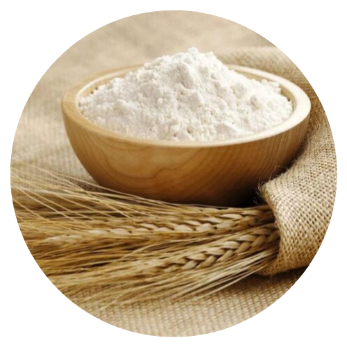 Highest Grade 50kg Wheat flour