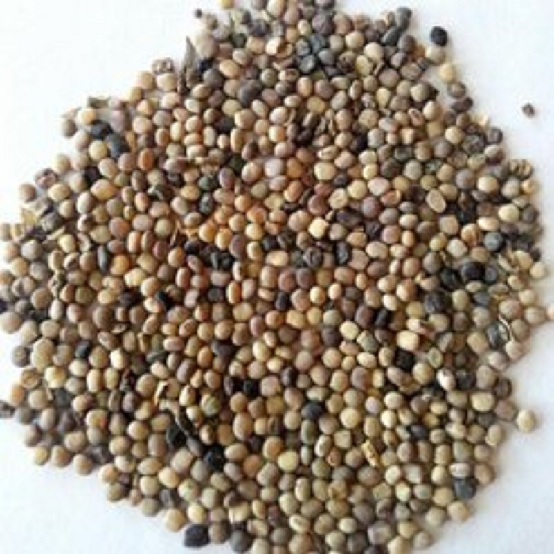 Семена гуаровой резинки