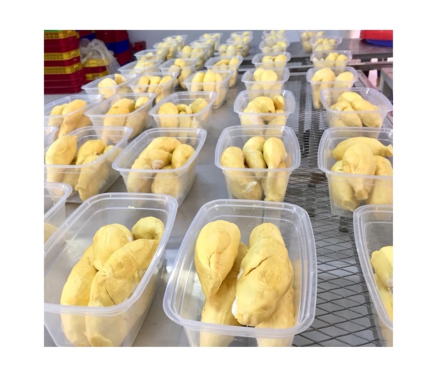 Fresh King Durian Vietnam, лидер продаж, богатые питательные средства, высокое качество, оптовая цена, бесплатный налог в Корею, США, ЕС, Японию, Канаду, Австралию