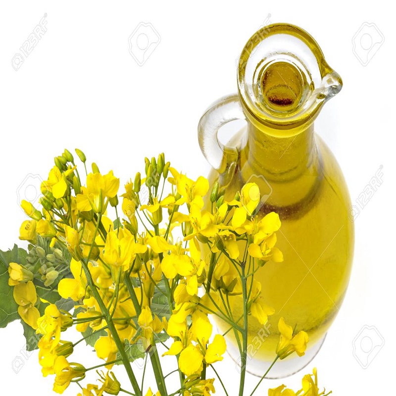 Refined Canola oil/Rapeseed Oil Best Quality Austria