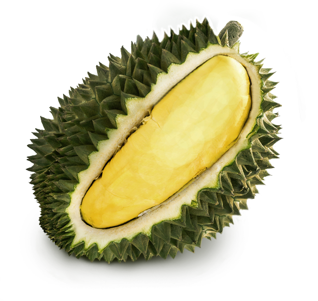 Durian from A4 Fruit Trading