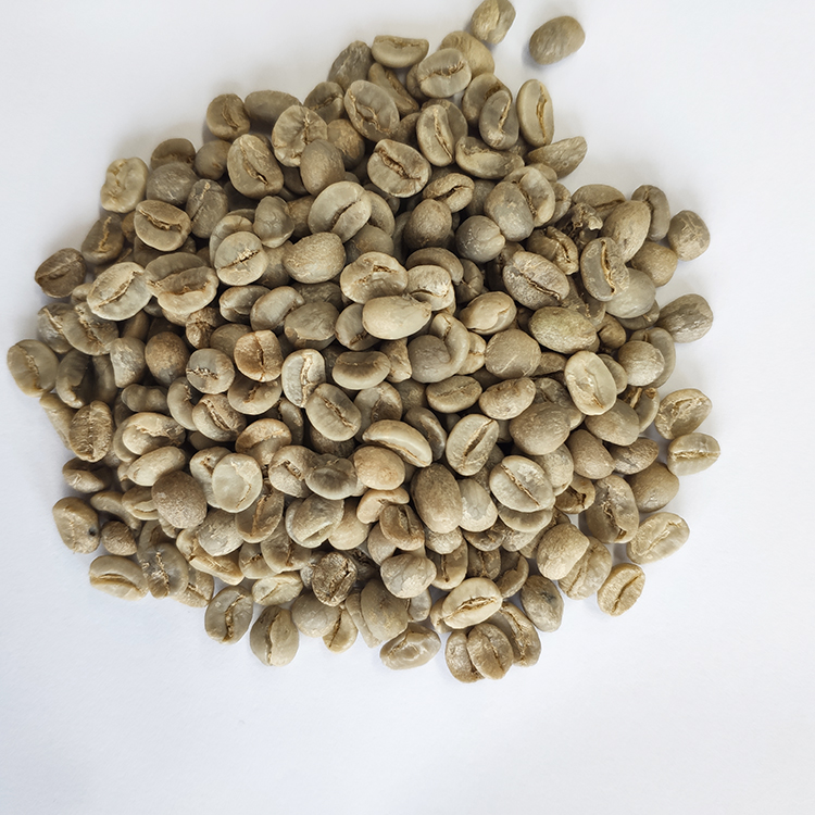 Эфиопская зеленая фасоль Yirgacheffe класса АА, оптовая продажа