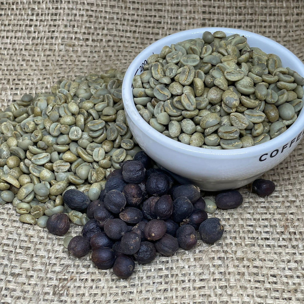 Specialty Vietnamese Arabica Catimor Green Coffee Bean Dry Processing Single Origin Cau Dat Farm