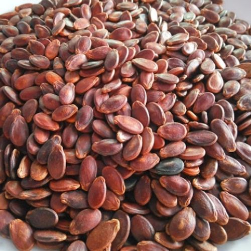 Dried watermelon seeds/ water melon seeds/ wholesale watermelon seeds +84 896626401