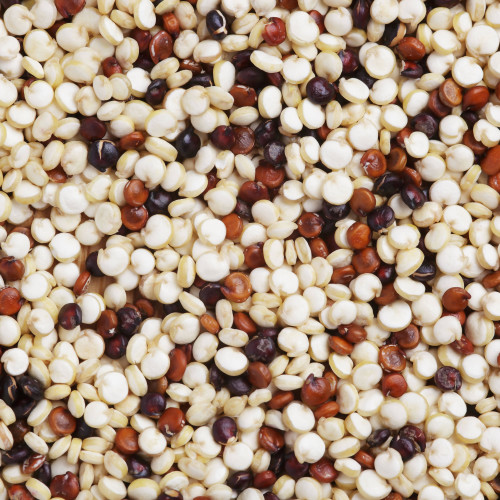 Quinoa Grains