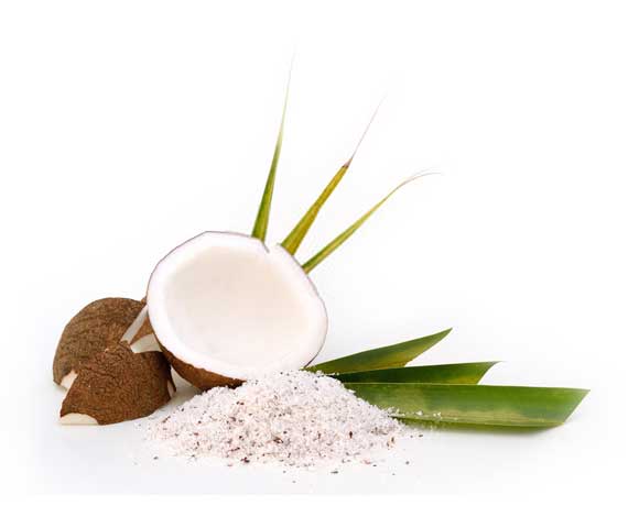 Coconut Milk Powder Suppliers / Raw Natural Coconut milk powder supplier