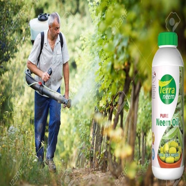 TERRA NEEM OIL FOR SKIN CARE COLD PRESSED WITH AZA CONTENT OF COSMETIC PURPOSES FOR HEALING PROPERTIES WITH ANTI BACTERICAL