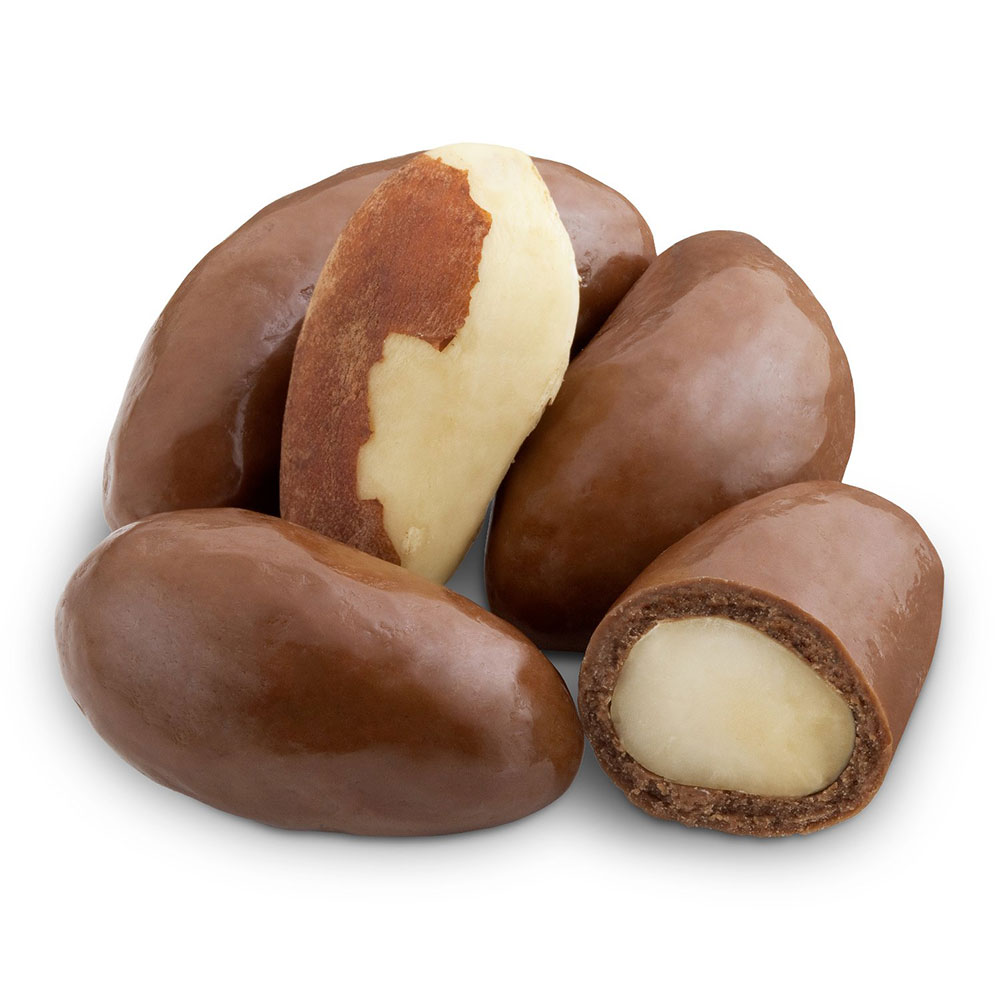 Hot Selling Genuine Supplier of Organic Brazil Nuts Wholesale