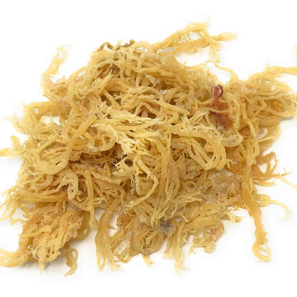 Водоросли EUCHEUMA COTTONII (каппафикус альвари) высокого качества/Ms.Thi Нгуен + 84 988 872 713