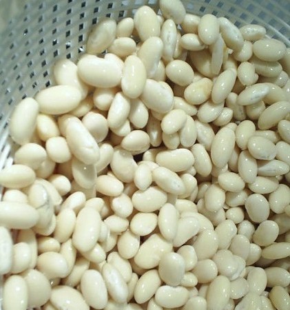 Best Quality White Butter Beans