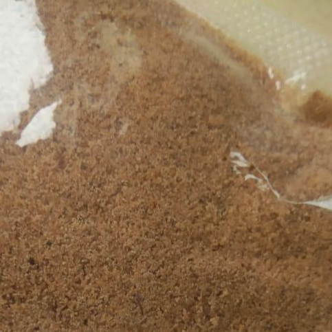 Кокосовая пальма из индонезии, хорошая цена и качество
