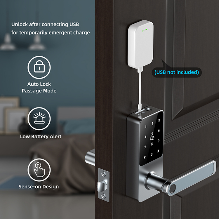 Voarki Smart Waterproof WiFi App Smart Door Lock Biometric lock fingerprint door handle Digital Keyless lock