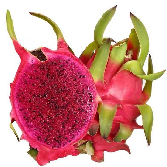 Fresh Red Dragon Fruit from Vietnam with standard quality and low price high quality for export Red flesh ready to shipping