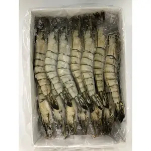Vietnam wholesale frozen Black Tiger Prawn HOSO Head on Shell on shrimp / hoso fresh shrimp exporter HACCP, BRC, ASC natural