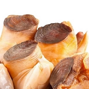 Морепродукты цена Замороженные раковины морепродукты