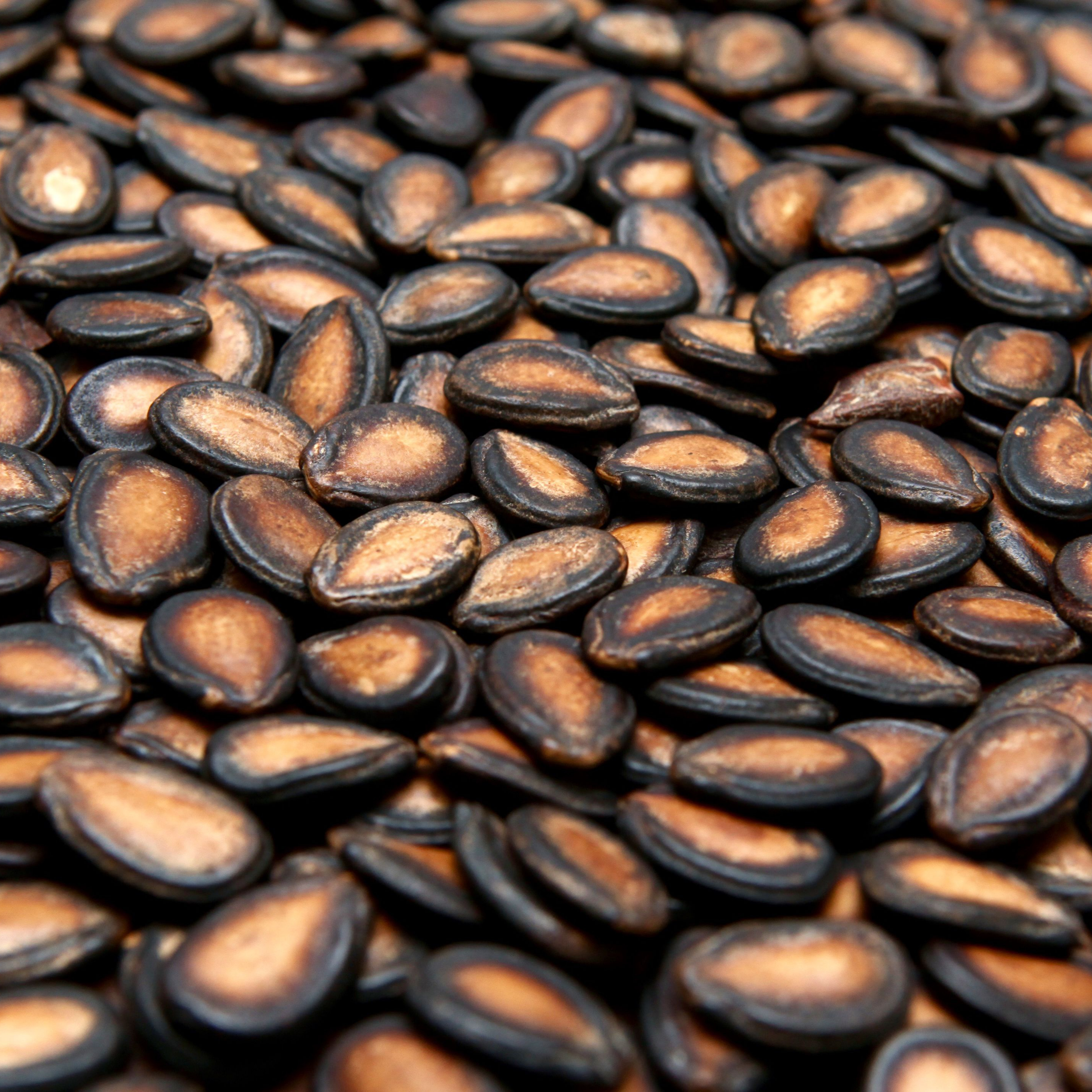 Seeds Wholesale High Quality Chinese Sunflower Seeds With Best Price Hot Selling Melon Seeds