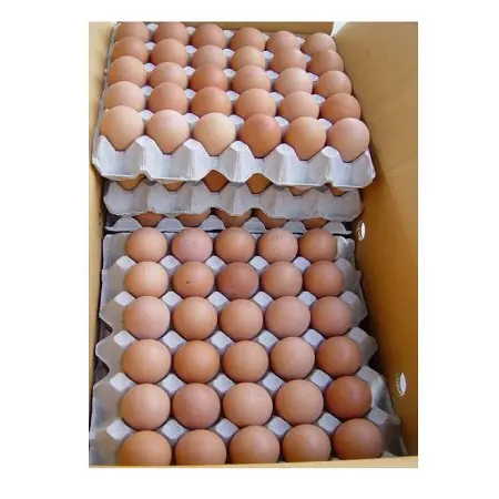 WHOLESALE Best Quality Farm Fresh Chicken Table Eggs