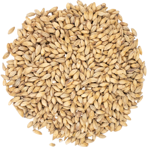 barley